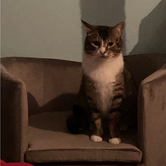 Meet your Posher, Shannon - Picture 2 of 3